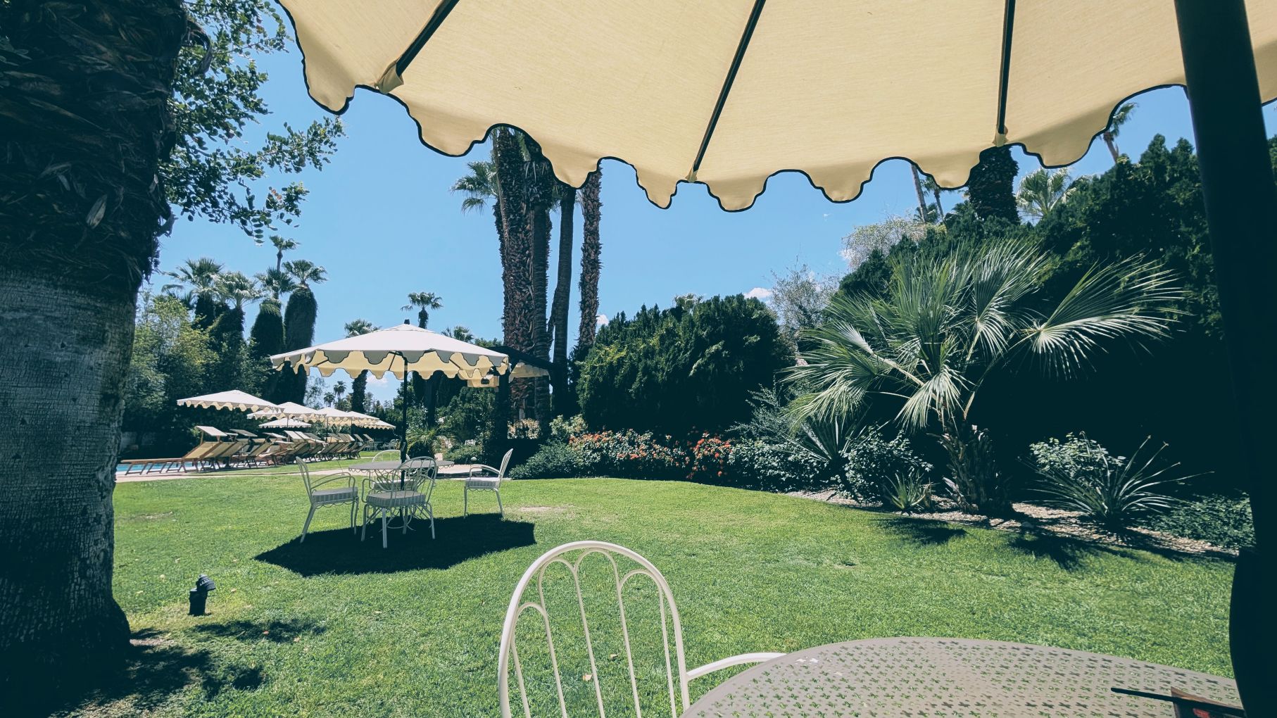 View of pool area at Ingleside Estate in Palm Springs for California hotel reviews and insider peeks