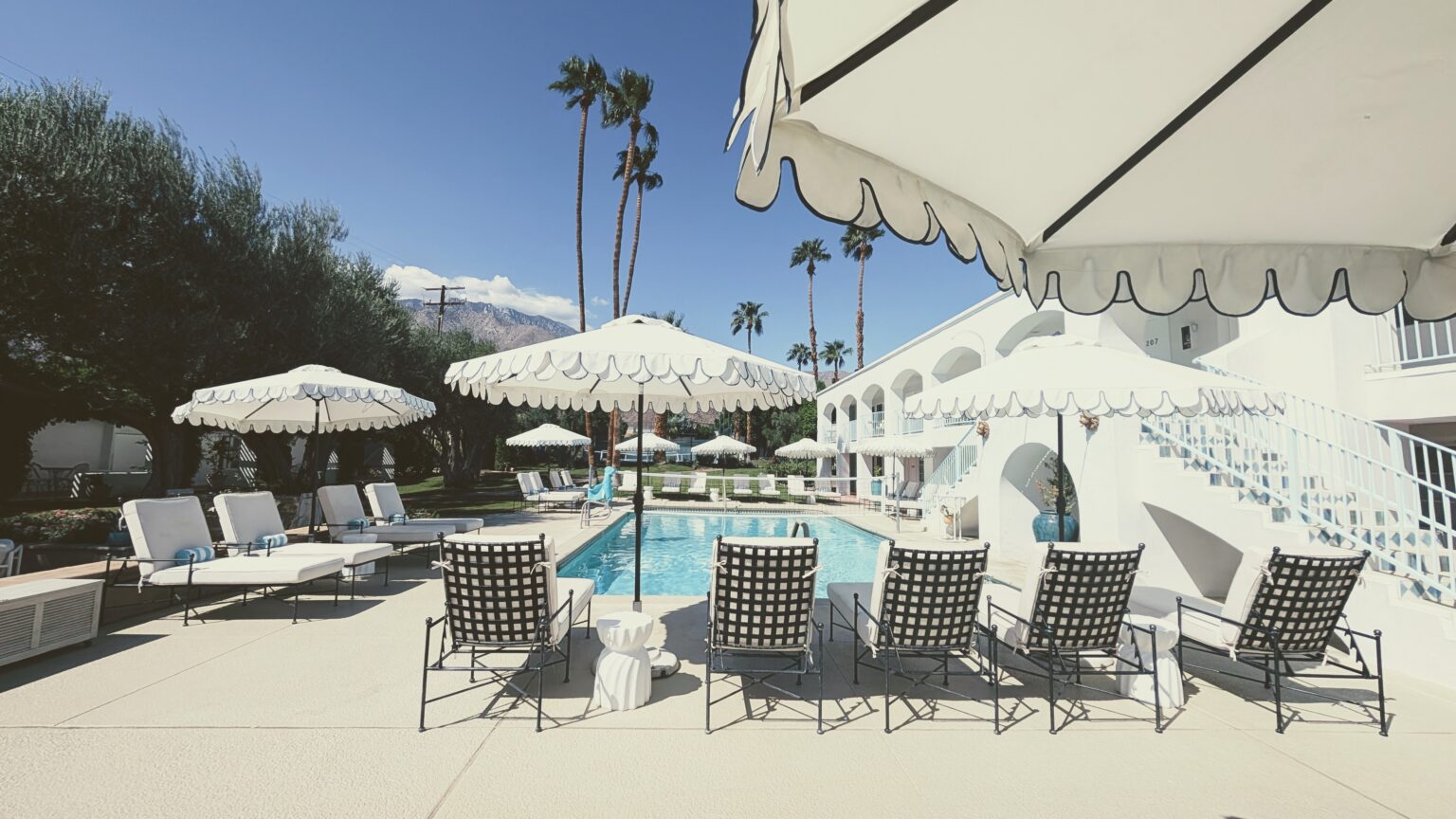 Sunny main pool and deck chairs at Casa Palma Hotel in Palm Springs