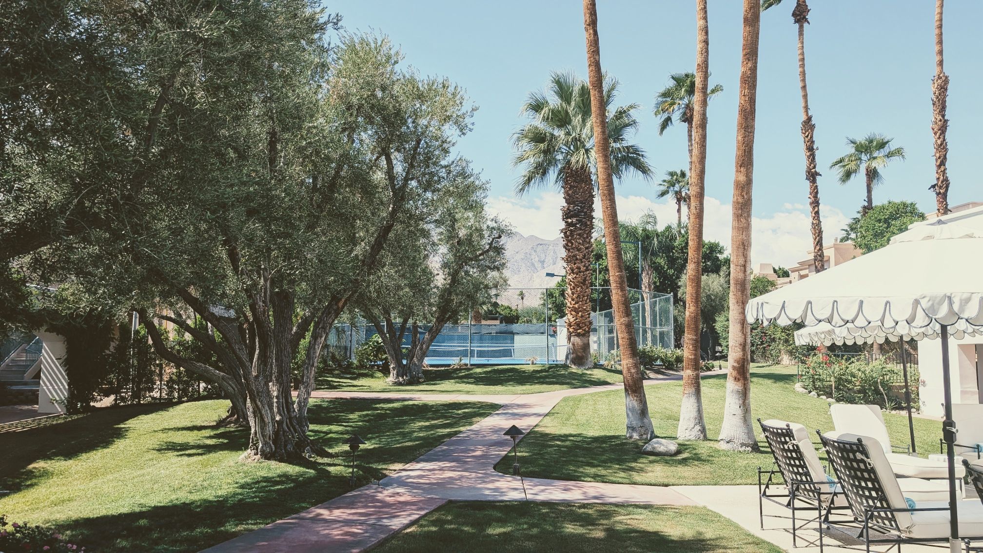 Trees, tennis court, and grass at Casa Palma Hotel