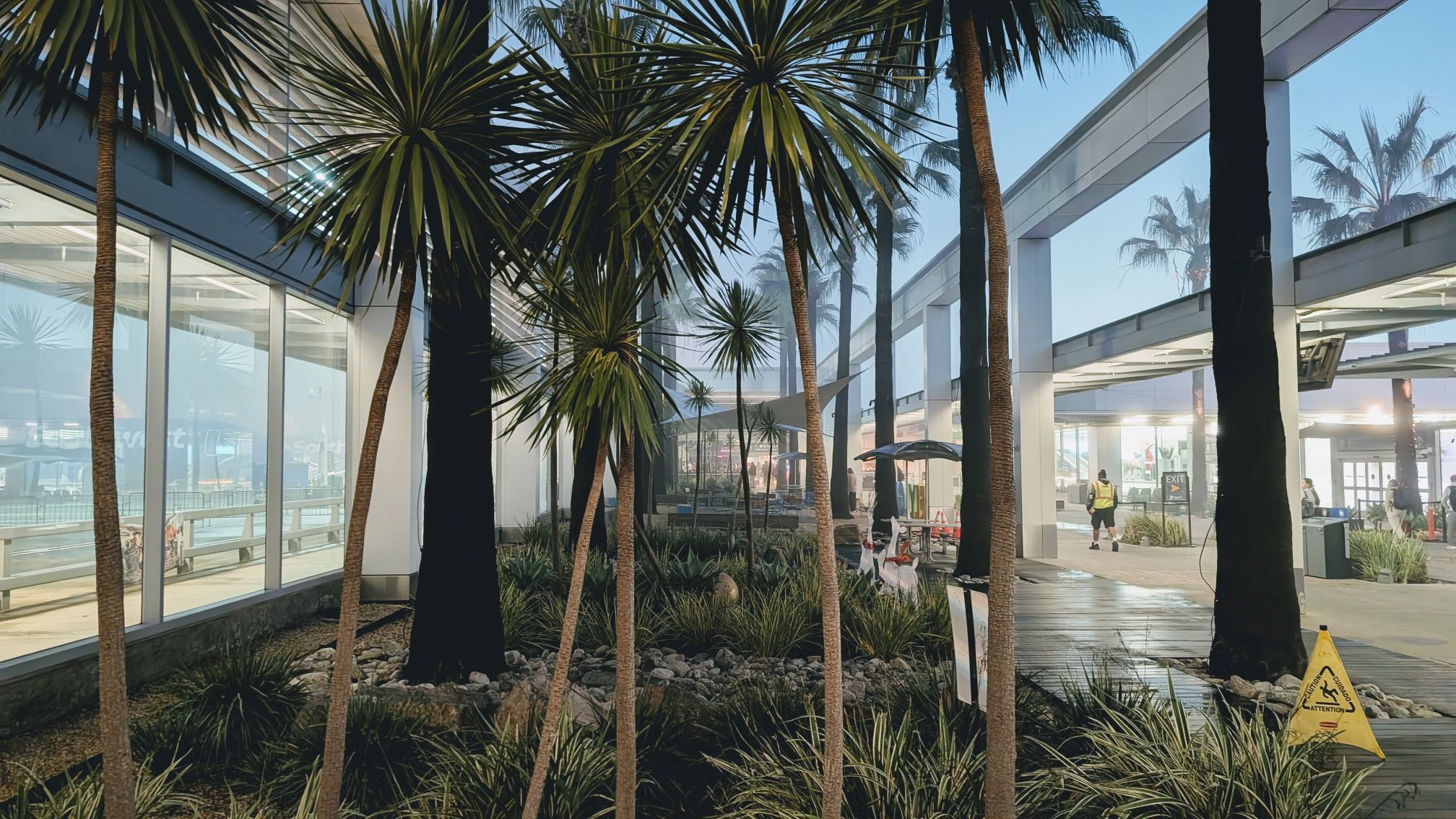 Palm trees inside Long Beach Airport