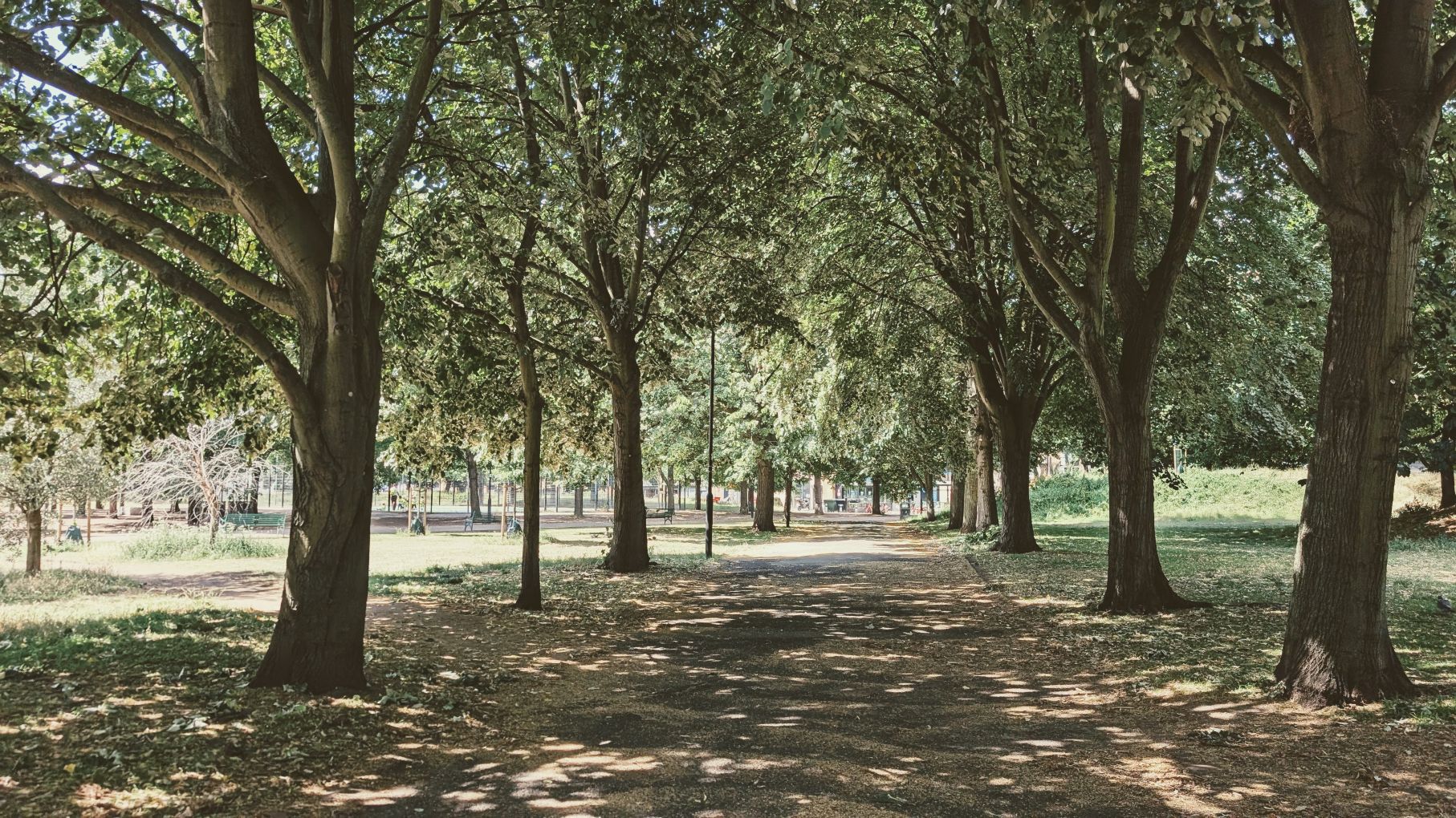 View through green trees in Vauxhall Pleasure Gardens near the Staybridge Suites Vauxhall London Hotel location