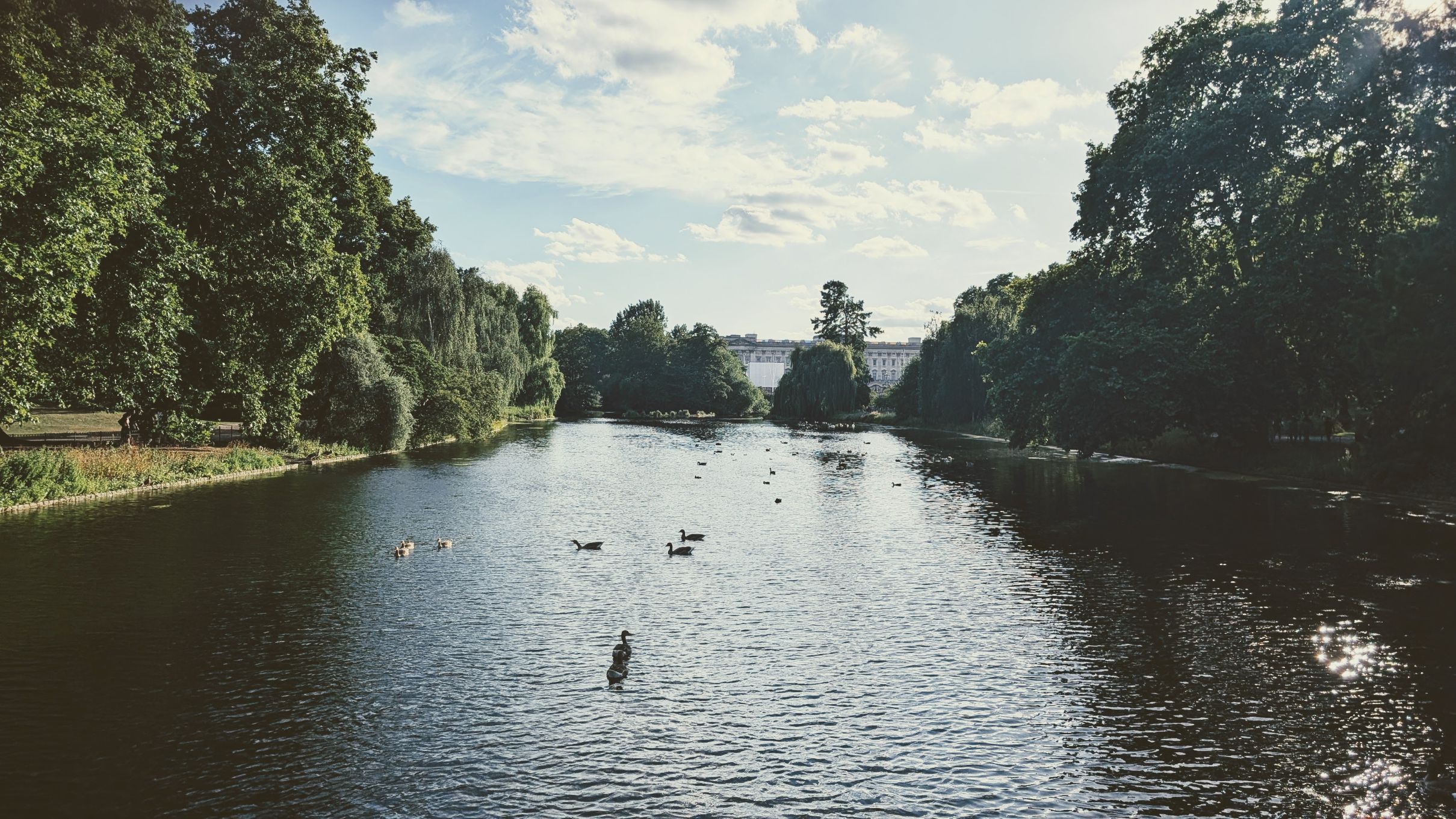 Lake in St. James Park London showing Hotel Poet creative travel ideas
