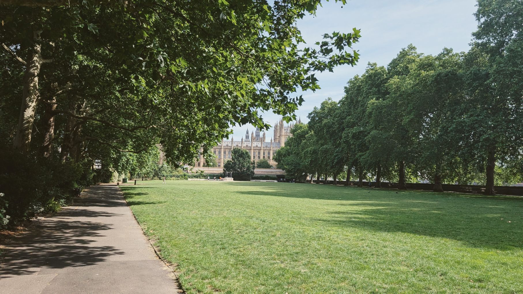 Green grass and trees in a London park near Parliament building